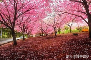http://8www.4000500521.com//upimg/seot/t20161219142324159.jpg