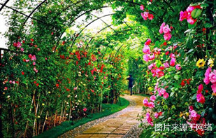http://8www.4000500521.com//upimg/seot/t20161219154823264.jpg