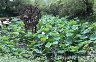 http://8www.4000500521.com//upimg/seot/t20170725135404777.jpg
