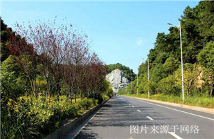 http://8www.4000500521.com//upimg/seot/t20170725135906391.jpg