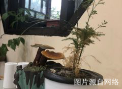 http://8www.4000500521.com//upimg/seot/t20190701173553213.jpg