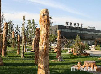 http://8www.4000500521.com//upimg/seot/t20190702164554230.jpg